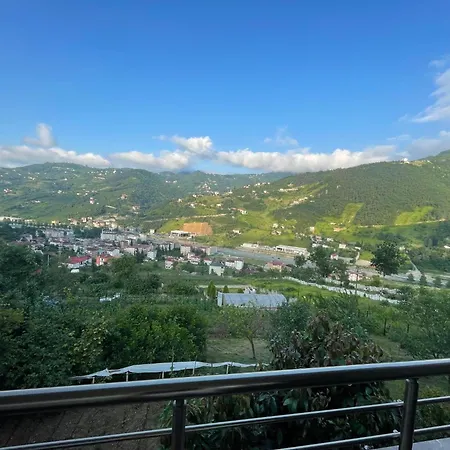 Vinland Atalar * Trabzon