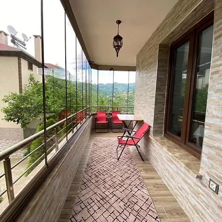 Villa Vinland Atalar *