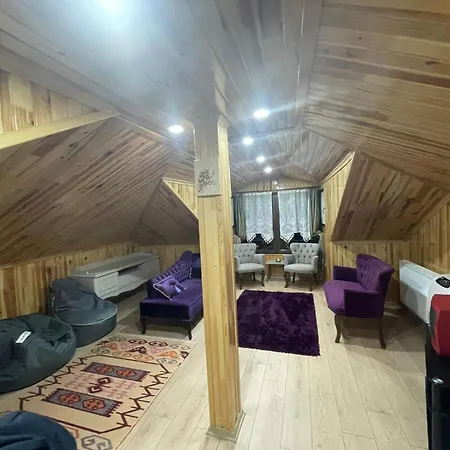 Villa Vinland Atalar *