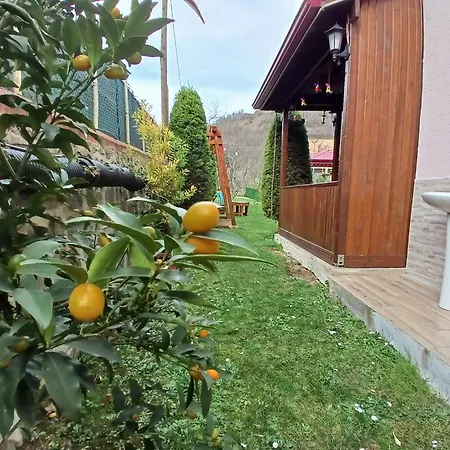 Villa Vinland Atalar *