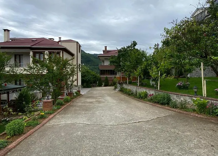 Vinland Atalar * Trabzon