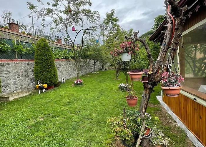 Vinland Atalar * Trabzon