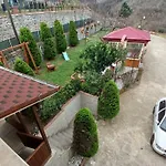 Vinland Atalar * Trabzon