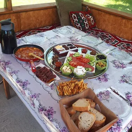 Vinland Atalar וילה