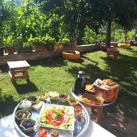 Villa Vinland Atalar Trebizonda