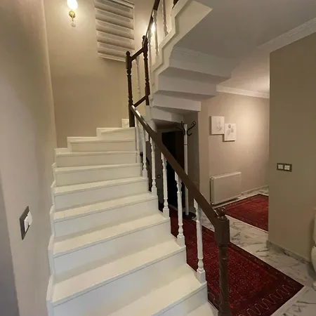 Vinland Atalar וילה *