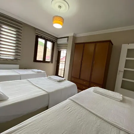 Villa Vinland Atalar *