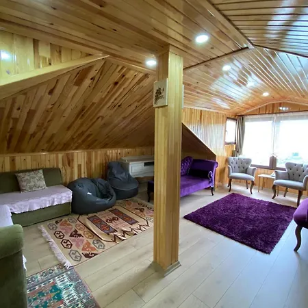 Vinland Atalar וילה *