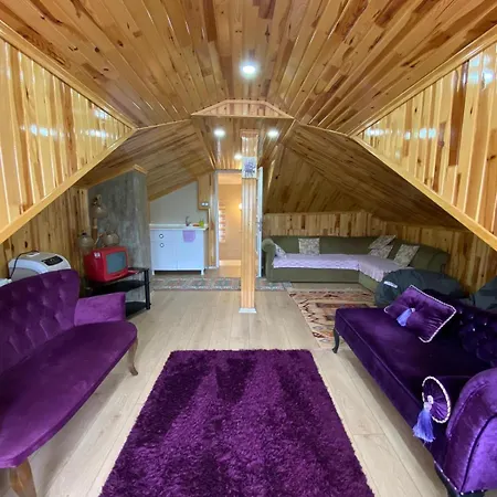 וילה Vinland Atalar *