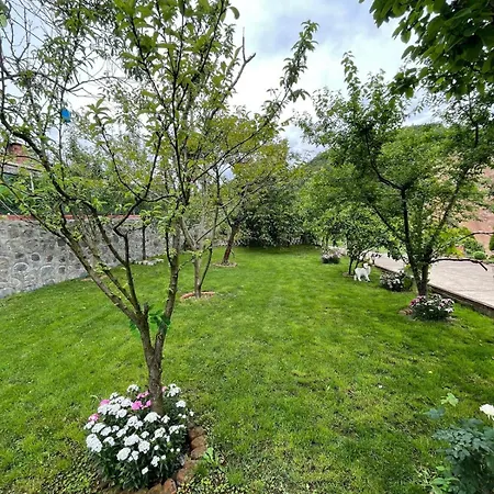 Vinland Atalar טראבזון