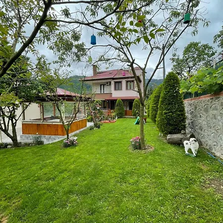 Villa Vinland Atalar