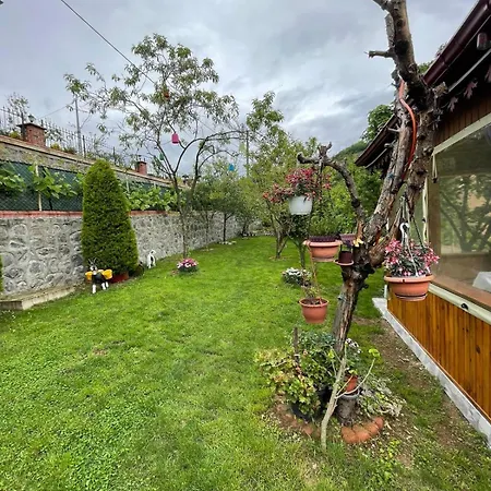 Vinland Atalar * Trabzon