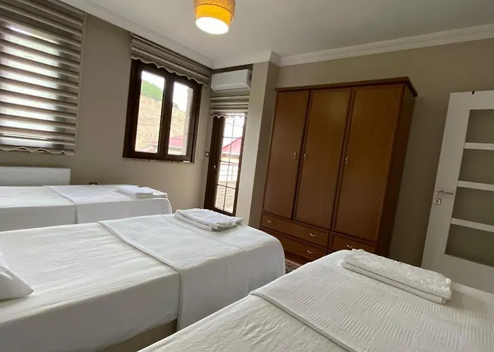 Villa Vinland Atalar *