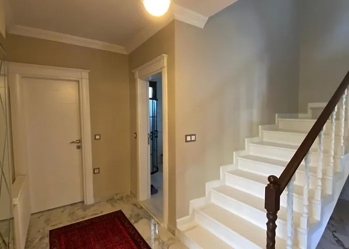 Vinland Atalar Trabzon