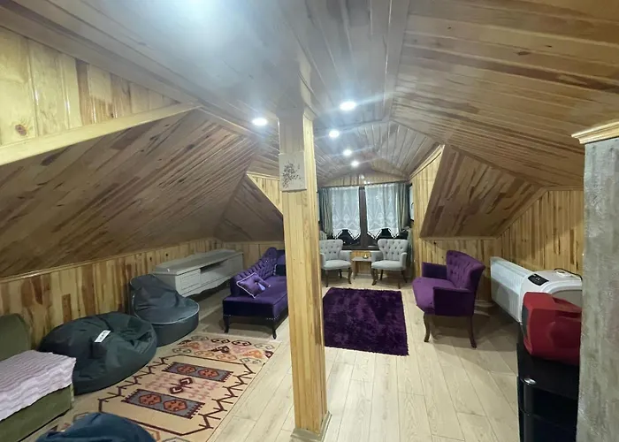 Villa Vinland Atalar *