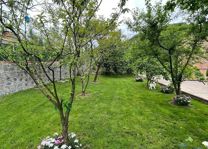 Vinland Atalar Trabzon