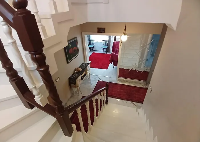 Vinland Atalar Τραμπζόν