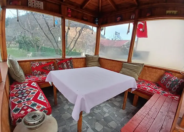 Vinland Atalar Βίλα *