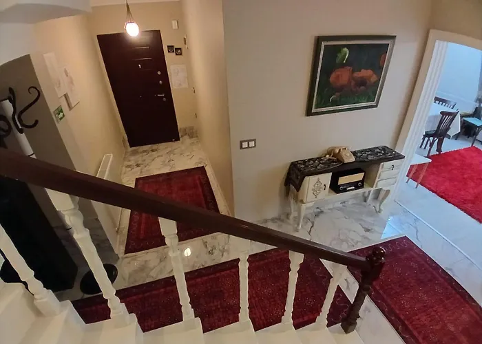 Vinland Atalar Τραμπζόν