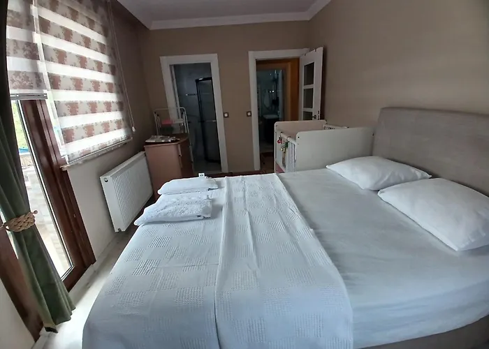 Vinland Atalar * Τραμπζόν