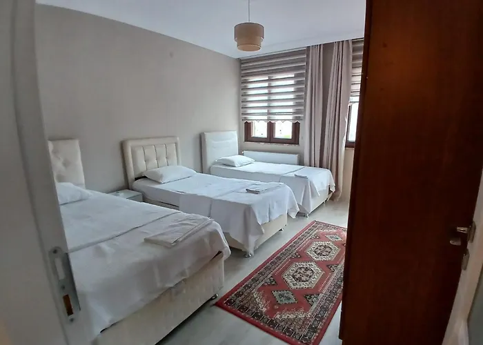 Vinland Atalar Τραμπζόν