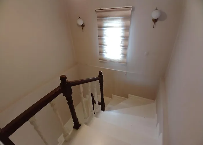 Vinland Atalar Βίλα Τραμπζόν